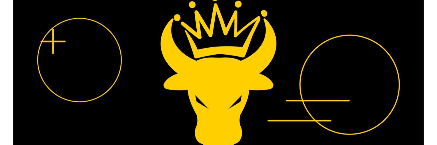 BullishKings's profile banner image