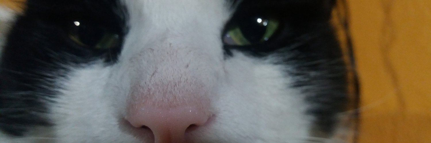 el_moral15's profile banner image