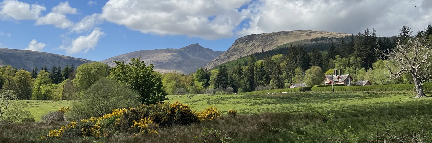 Scotcharye's profile banner image