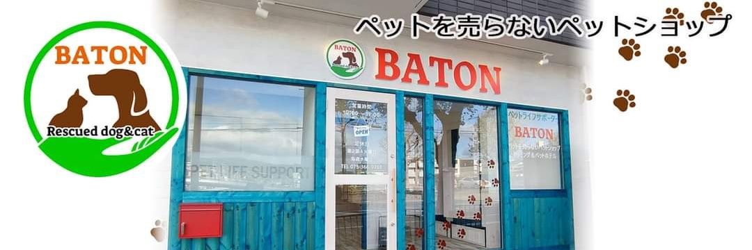 石橋 健一/保護犬猫を幸せにする。 banner