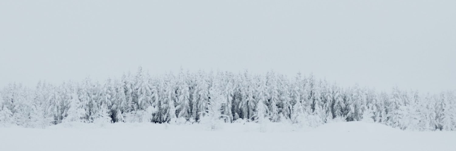 jamiewstevenson's profile banner image