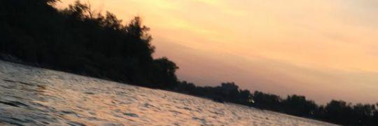aligreenfield3's profile banner image