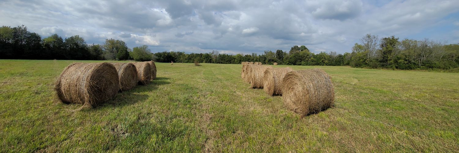 Eschew Obfuscation banner