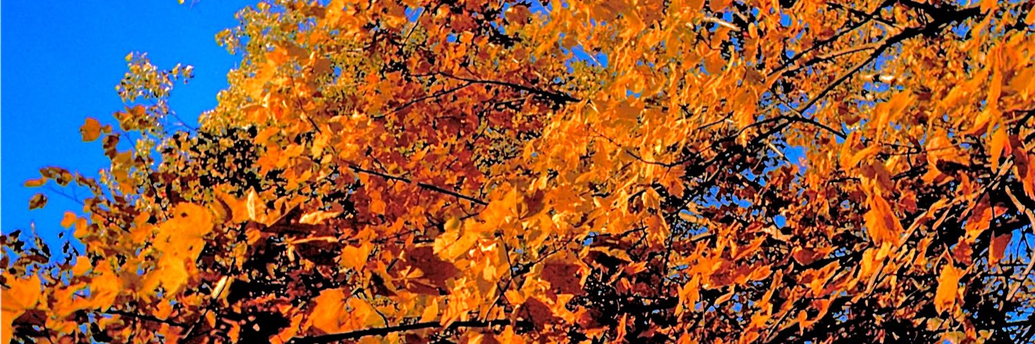 WillRyanMedia's profile banner image