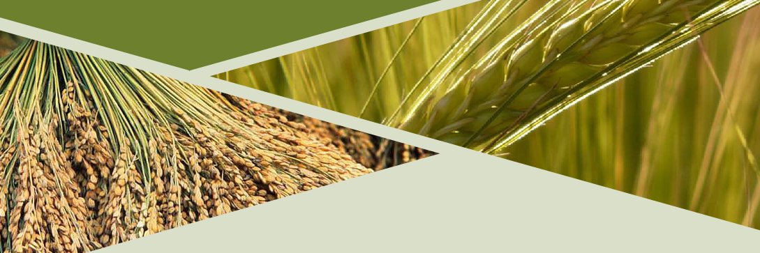BMH Transmotion banner