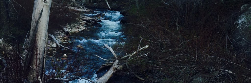 matthewcconnell's profile banner image