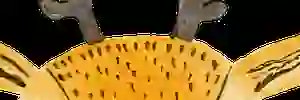 nedu_c's profile banner image