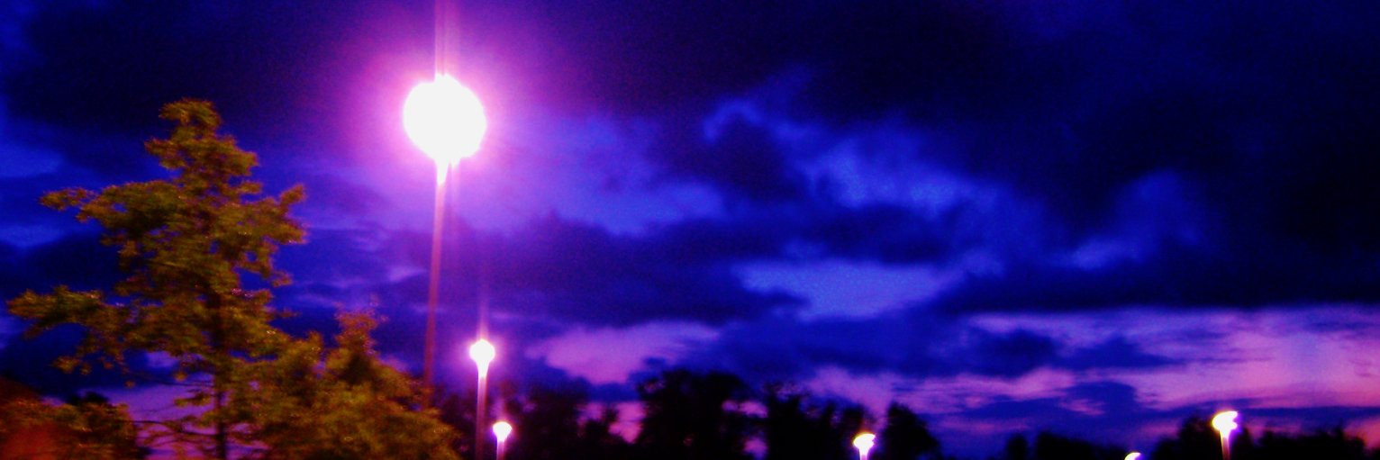 Losidia's profile banner image