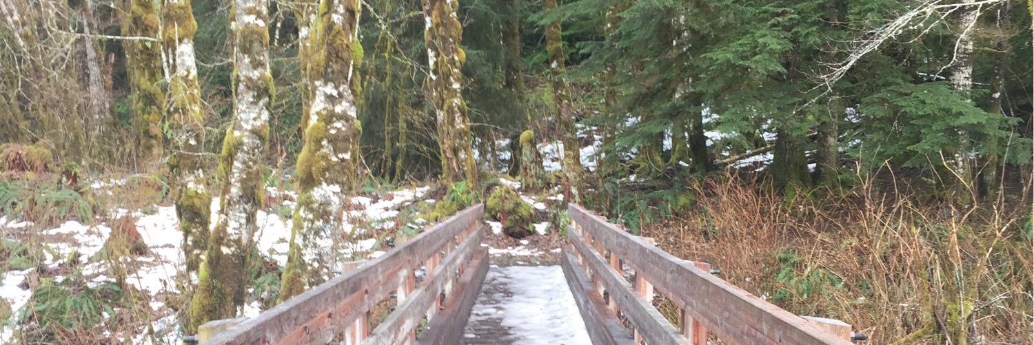 Jennifer Tullis banner