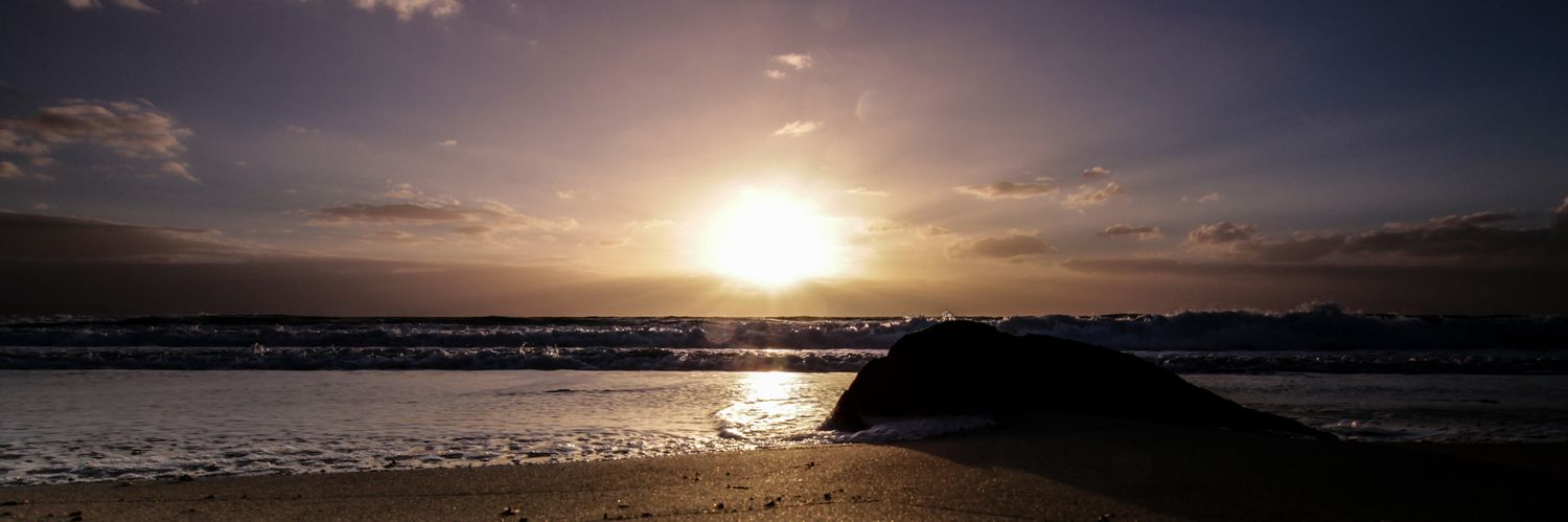 Kalealani's profile banner image