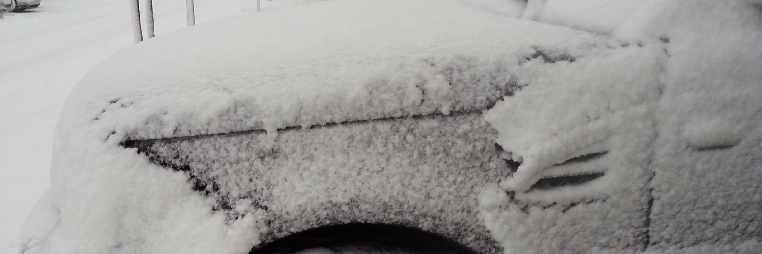 marijke de vries banner