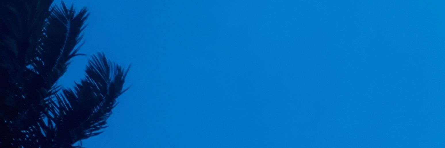 Ọpẹyẹmi banner