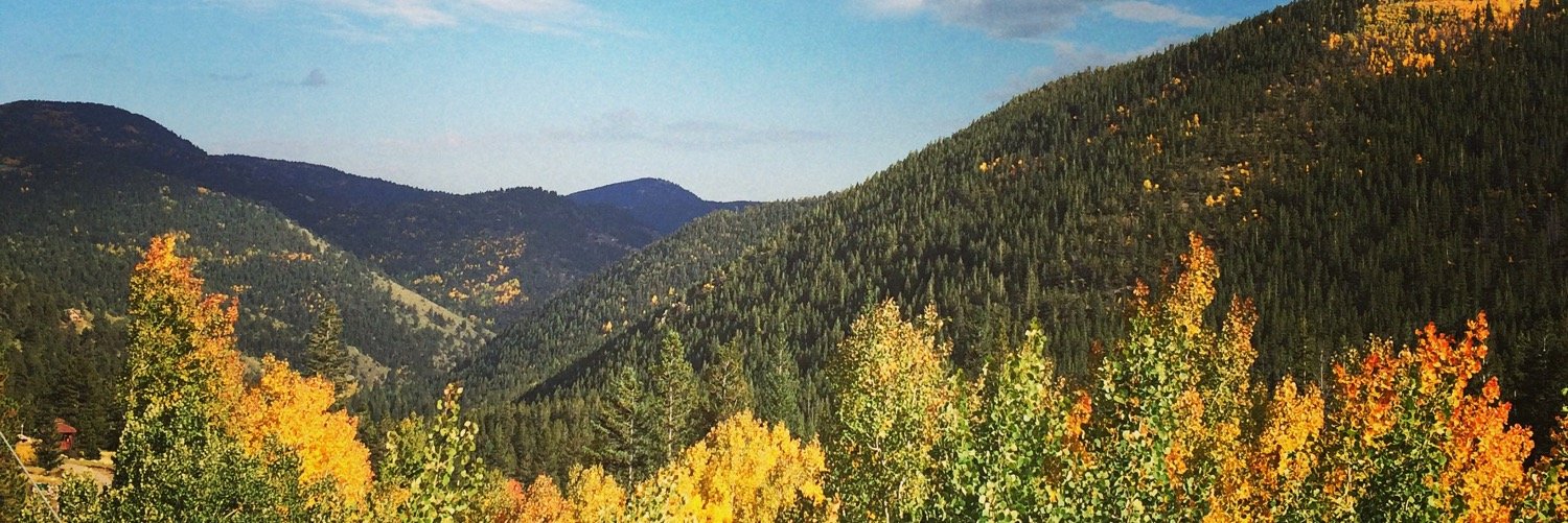 KatelynAvery's profile banner image