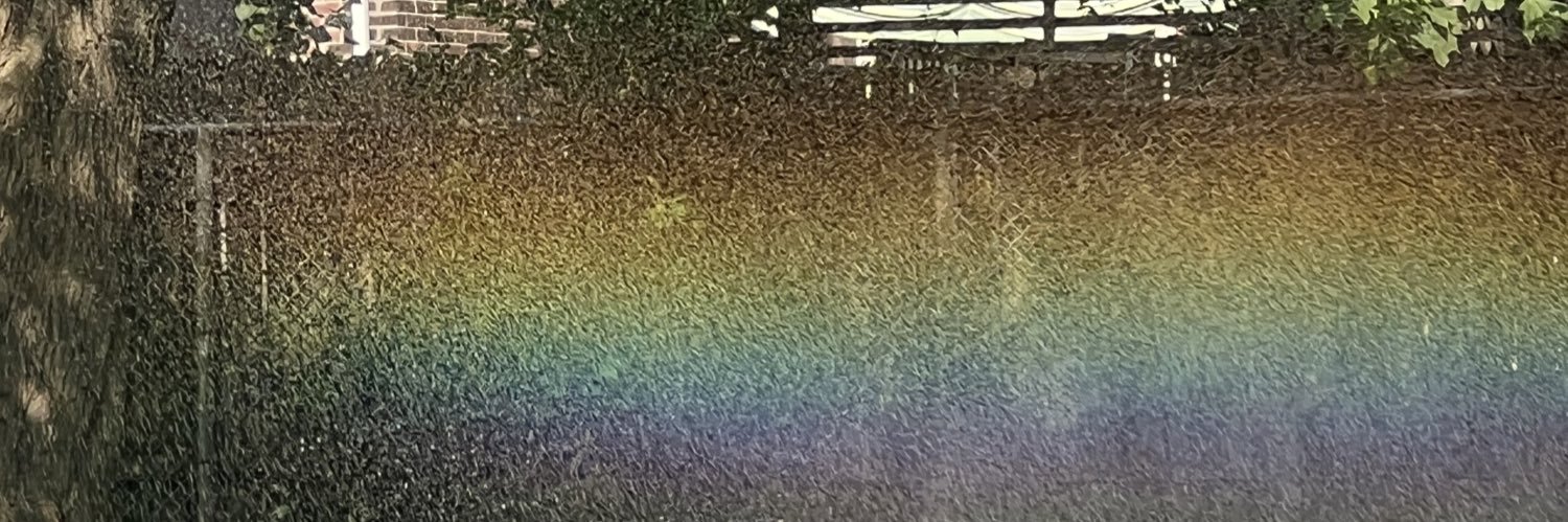 Emiprobably's profile banner image