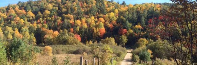 AHL_52's profile banner image