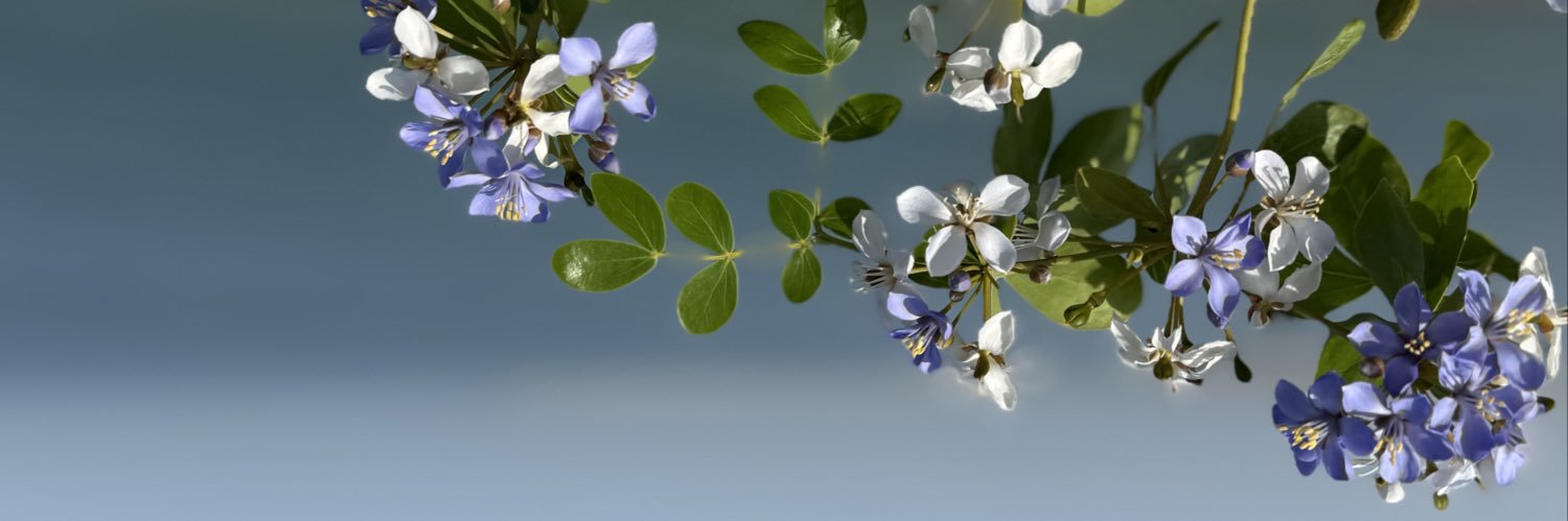 elaheham's profile banner image