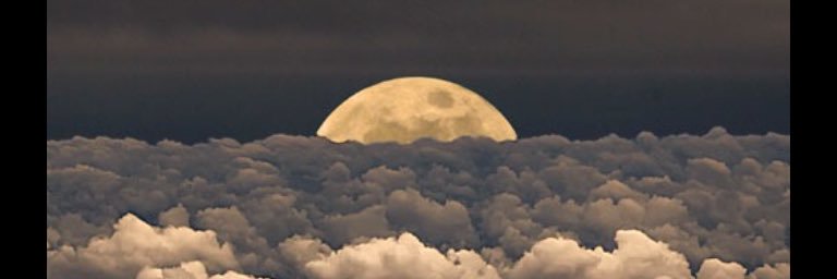 Rob_Singz's profile banner image