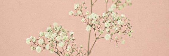 lilartrascal's profile banner image