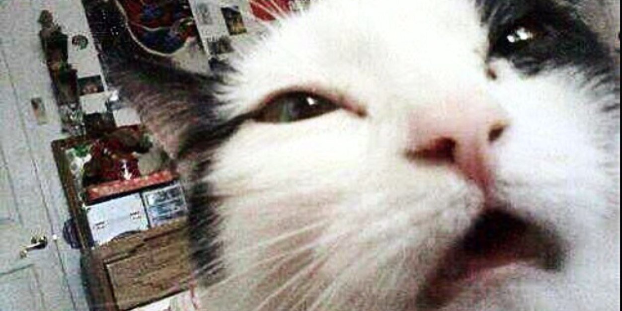 Valentinagrsbk's profile banner image