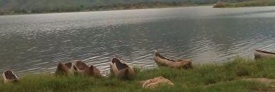 Aulath Mustafa banner