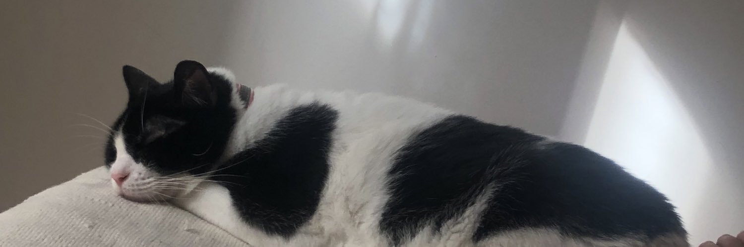 🍅Zarmorejo🥖 banner