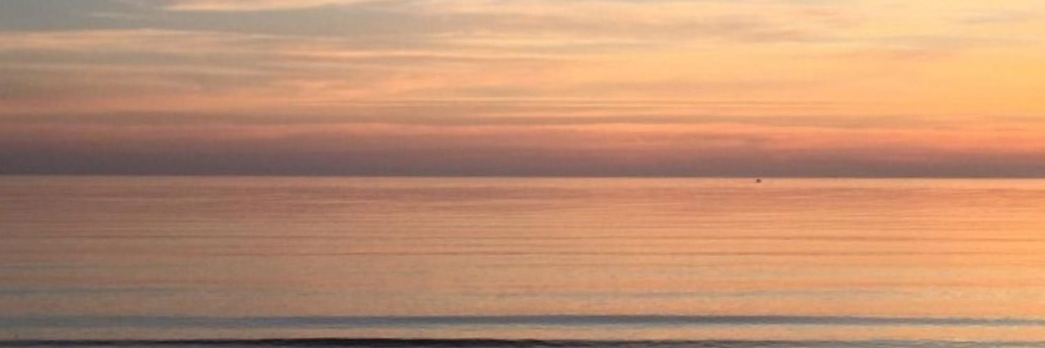 shalinisinghh's profile banner image