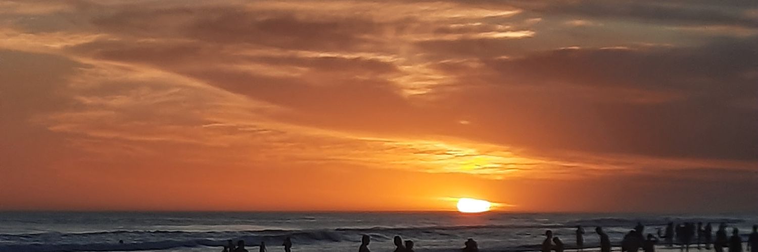 wallyReyess's profile banner image