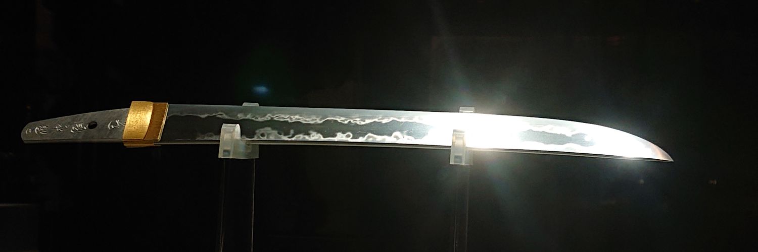 FsgnUm's profile banner image