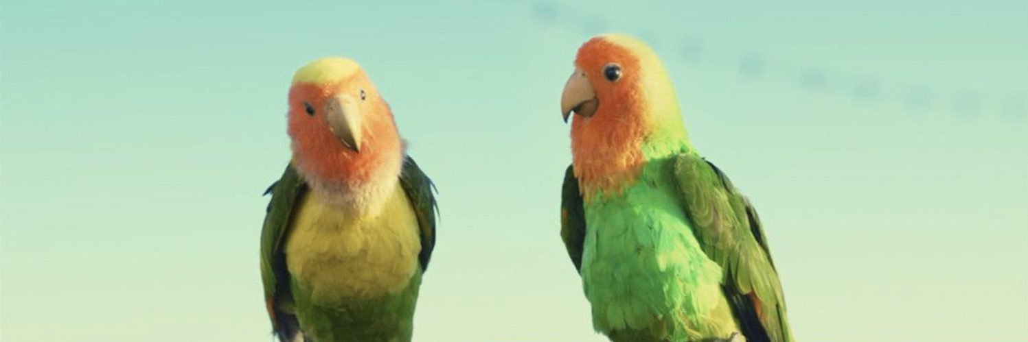 Vicky Ryder (she/her) banner