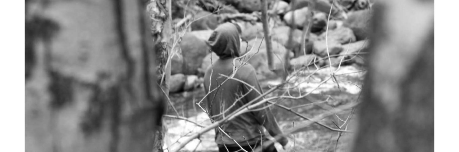 sqiudbear's profile banner image