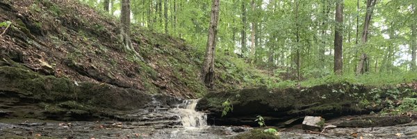 traviswatsonws Profile Banner