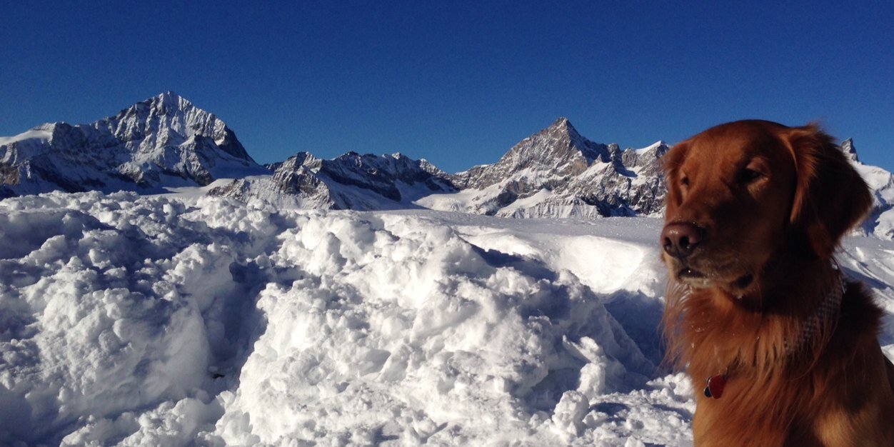 BreckDog's profile banner image