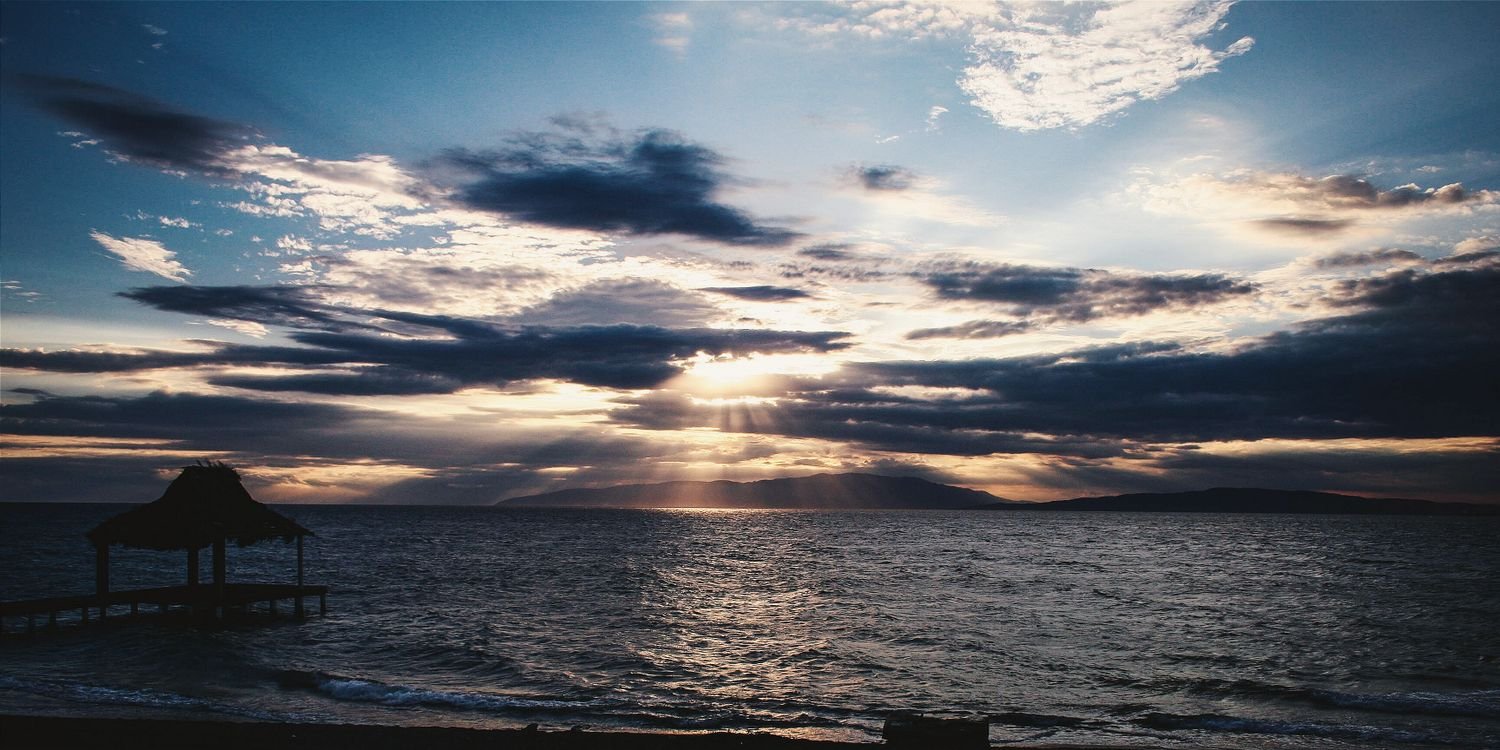 Allisonbll's profile banner image