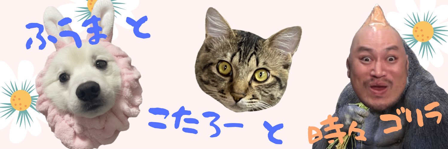 noco1030k's profile banner image