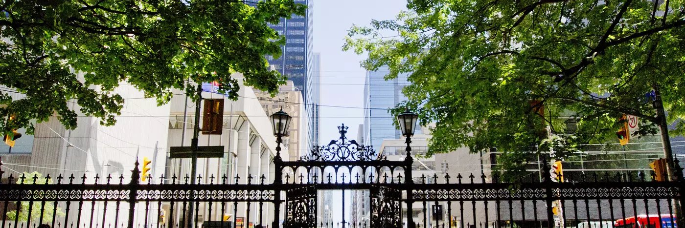 Caroline Mandell banner