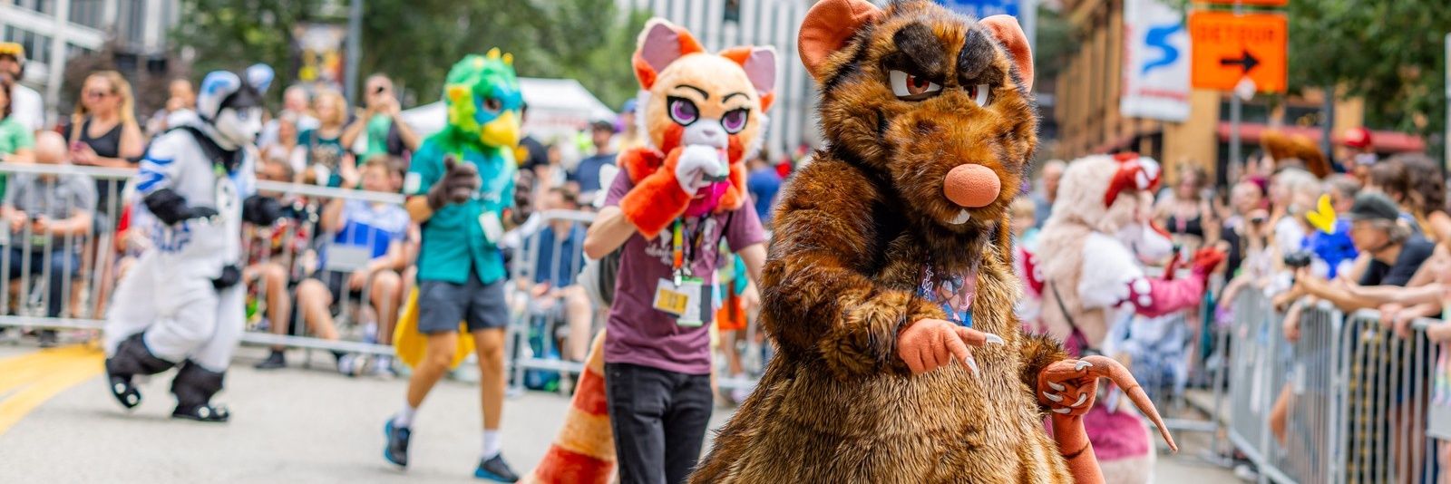 DittmanRat's profile banner image