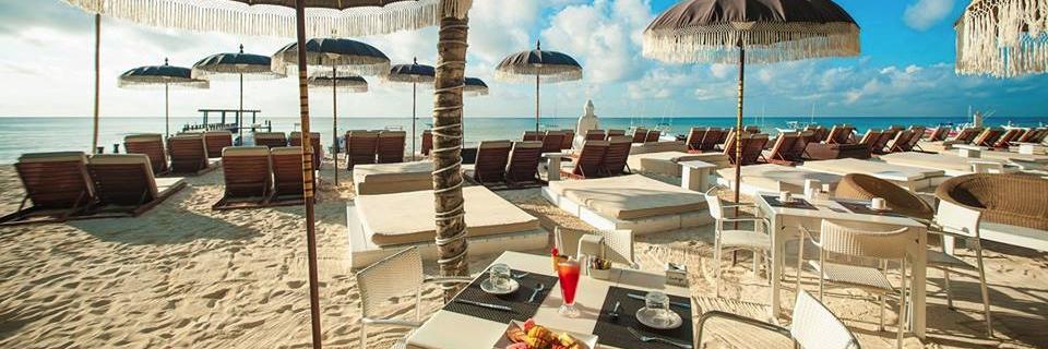 IndigoBeachMx's profile banner image