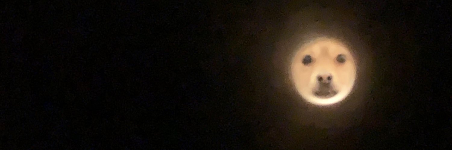 BeezyH_'s profile banner image