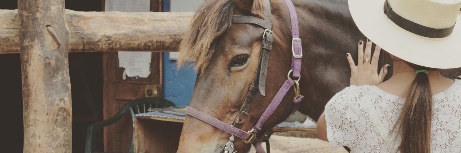 valerytr8's profile banner image
