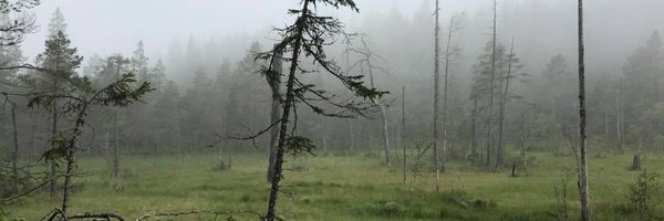 thomaskahn Profile Banner