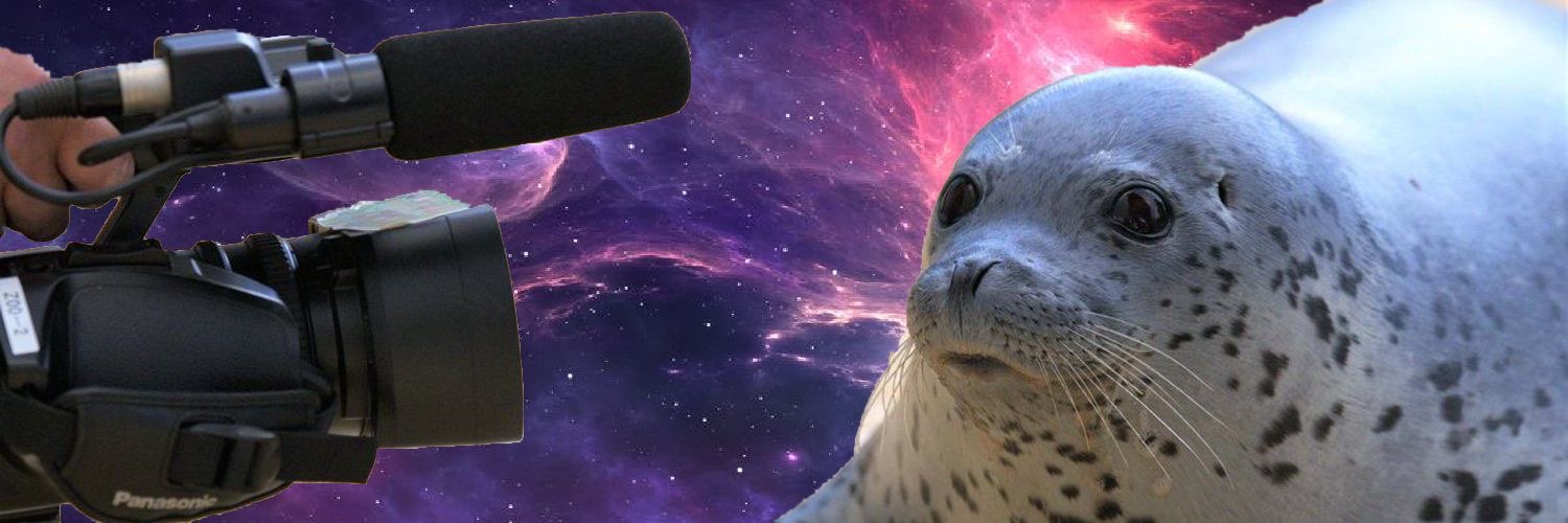 sealosophical's profile banner image