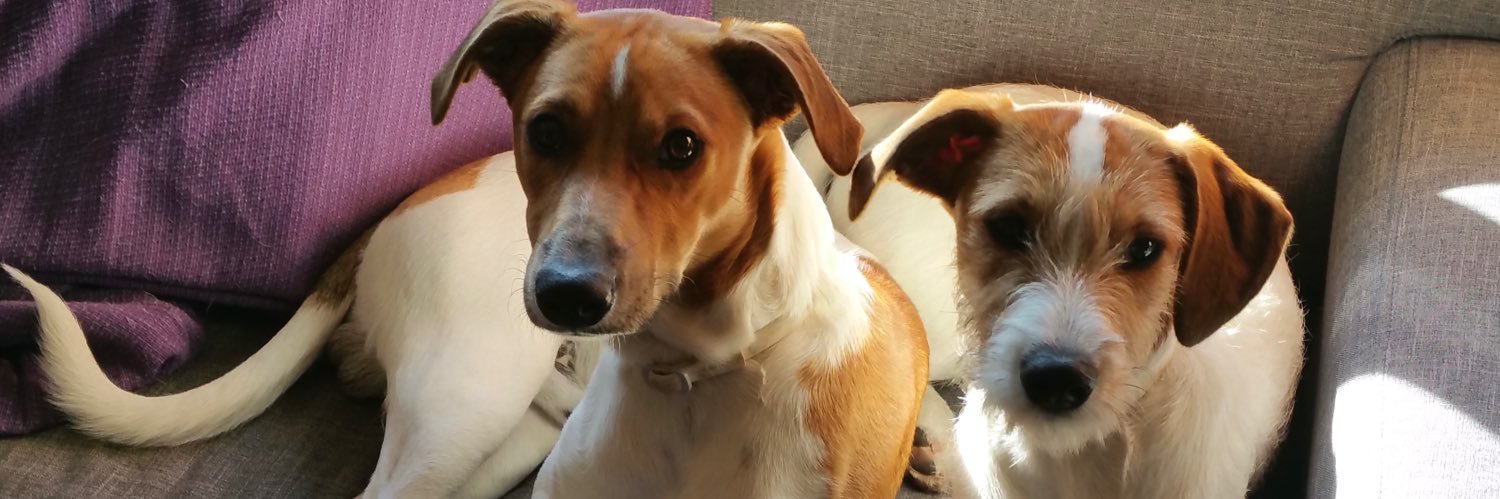 Ana Avellaneda banner