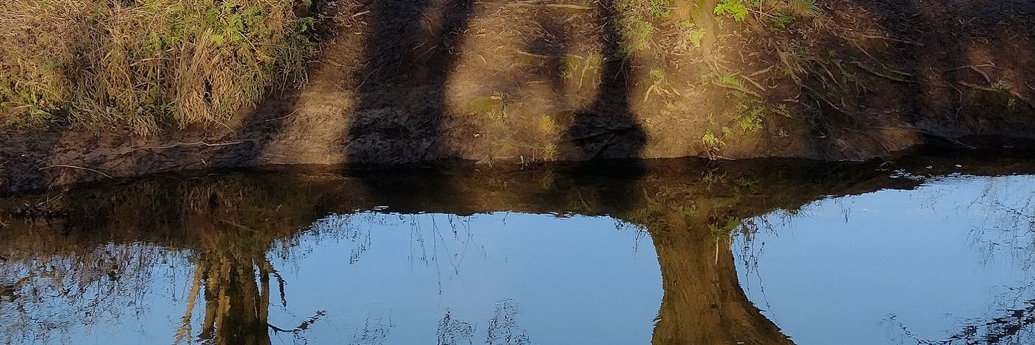 Lisa Marie 🐱🐈 👑👸🇬🇧 banner