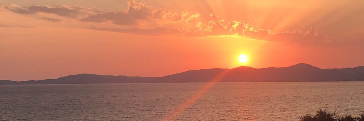 Lanyce banner