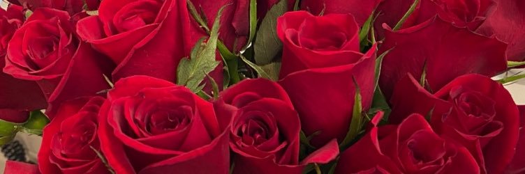 madelinetrevizo's profile banner image