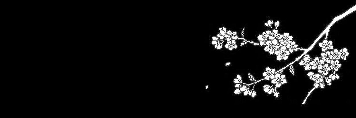 cherrydaii's profile banner image