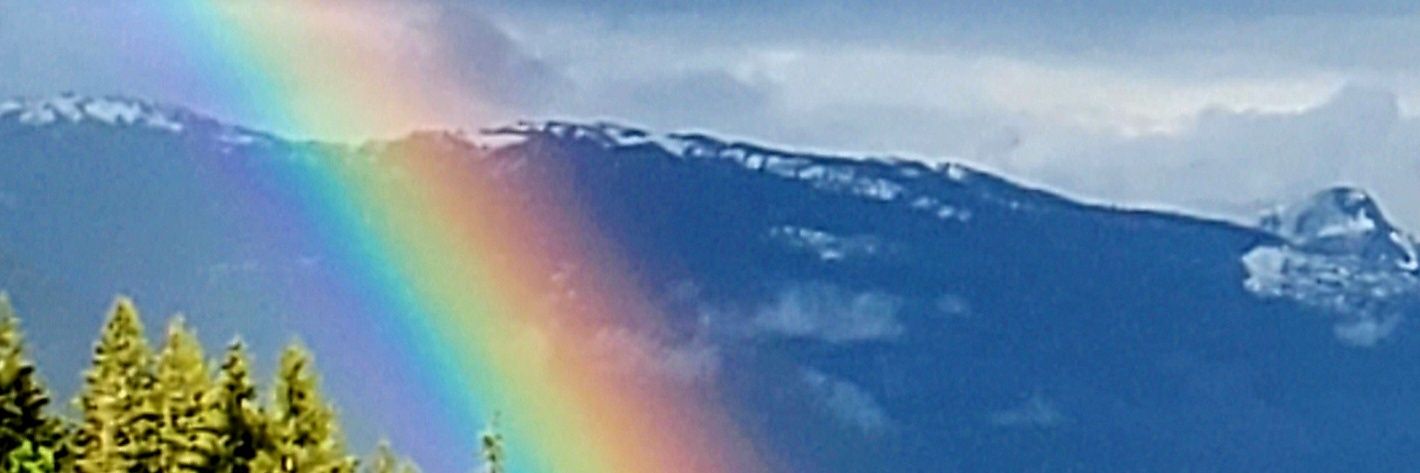 MrsWinacott's profile banner image
