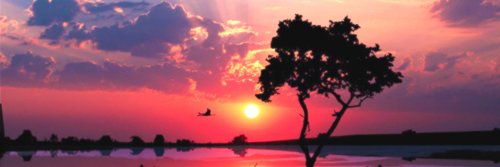 HildedRueda's profile banner image