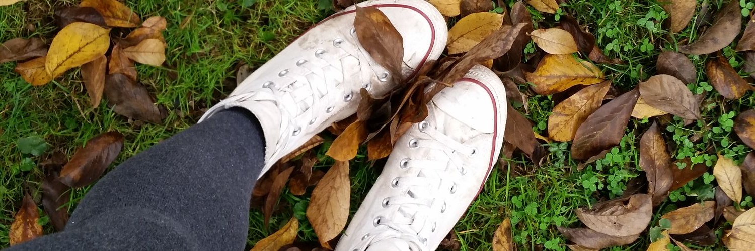 claire_pohl's profile banner image