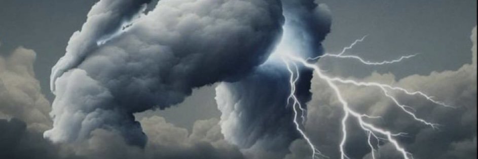 FEcolakoglu69's profile banner image